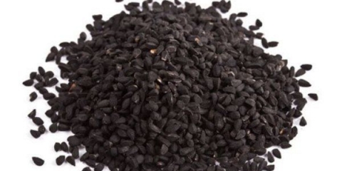 Pravilan uzgoj crnog luka iz sjemena